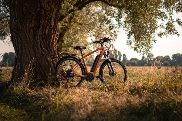 qwwrty5251_Electric_bike_leaning_against_a_tree_Polish_countr_1e274278-d5ff-4b06-8fc3-cfa549513db4_1